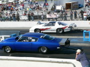 Blue Outlaw Mustang